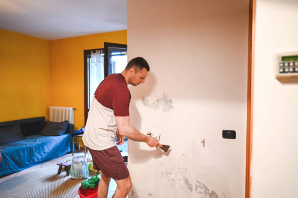Best Insurance-Related Mold Remediation in Lockhart, FL